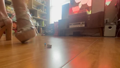 Worldunseenfilms – Watch Jimmy and Mikes Shrunken Couch