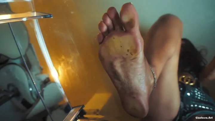 Giantess Ave – Giantess Roma Ant Crushing 2