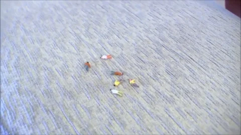 The Tiny Neighbors