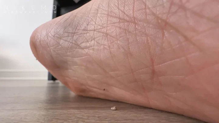 Nikemd – Anastasia Stomped