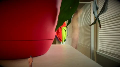 Ms.Tomorrow – Tiny Voyeur